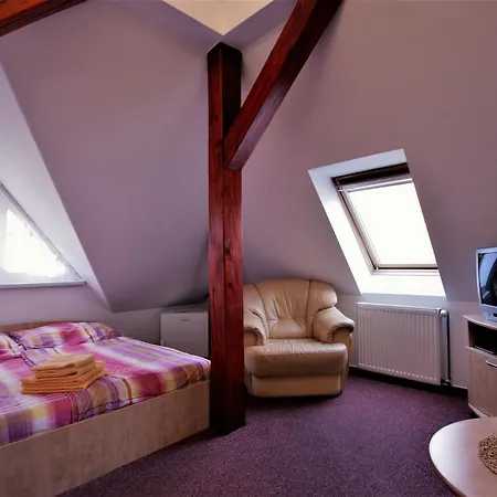 Πανσιόν Stara Celnice 3*
